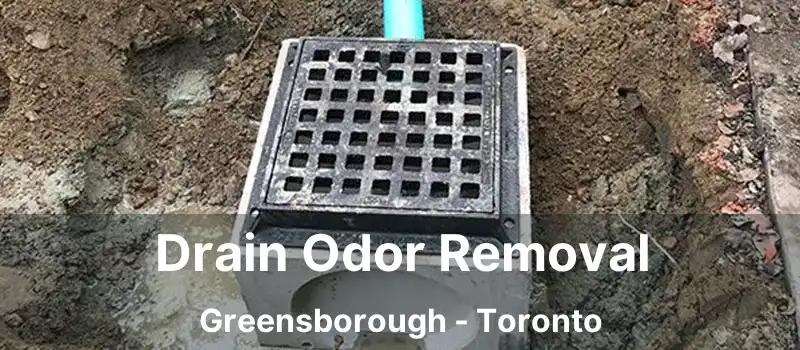  Drain Odor Removal Greensborough - Toronto